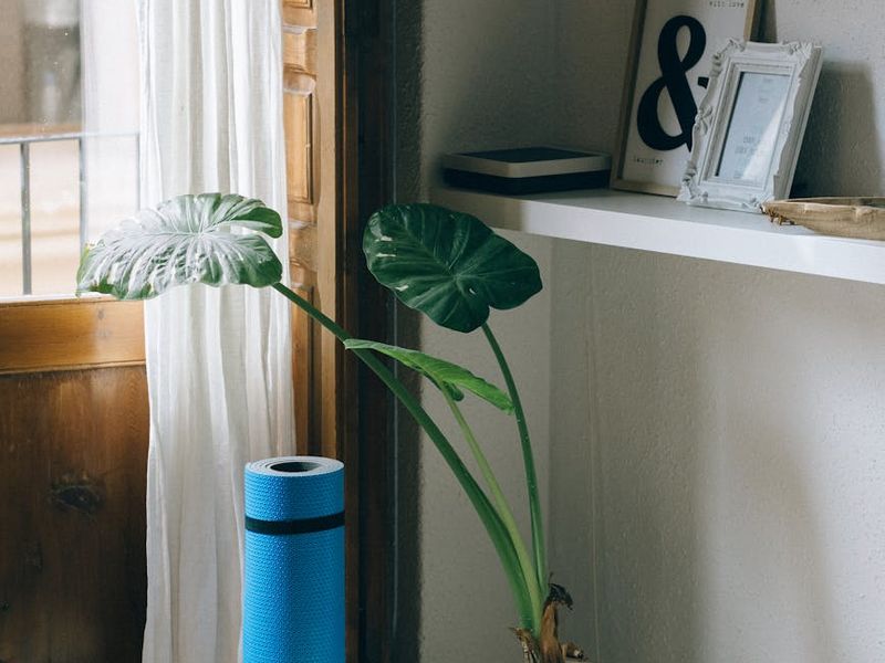 A minimalist setup with a yoga mat on a wooden floor near a large window.